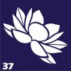 Трафареты для био-тату 6×6 см «Цветы» — изображение 18